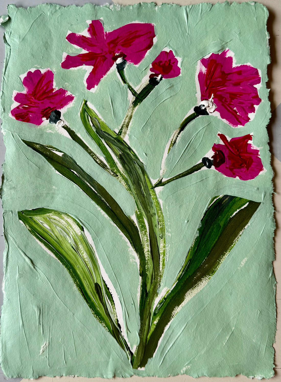 Pink Zinnia