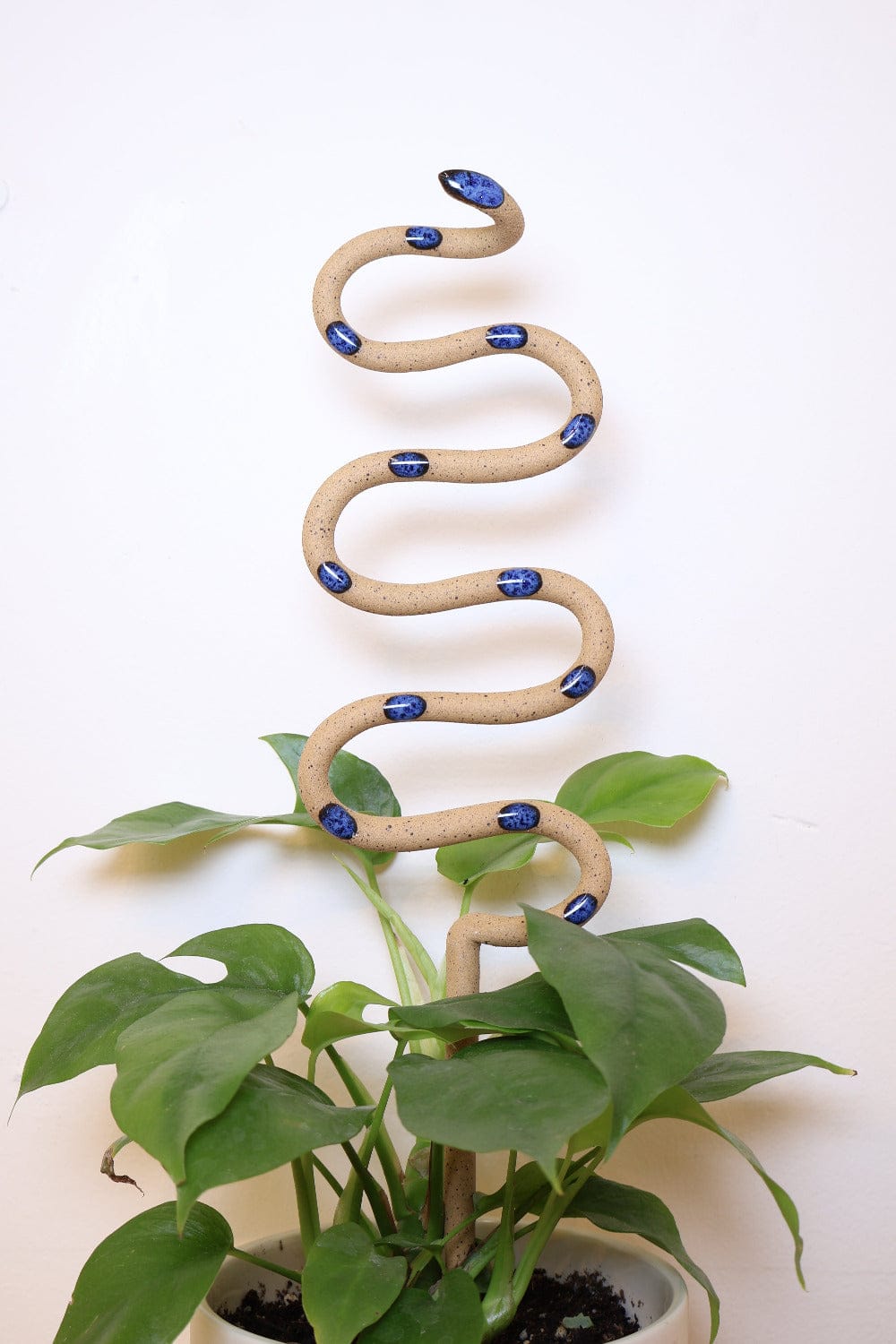 Carter + Rose Selena / Large Ceramic Plant Snake Stake