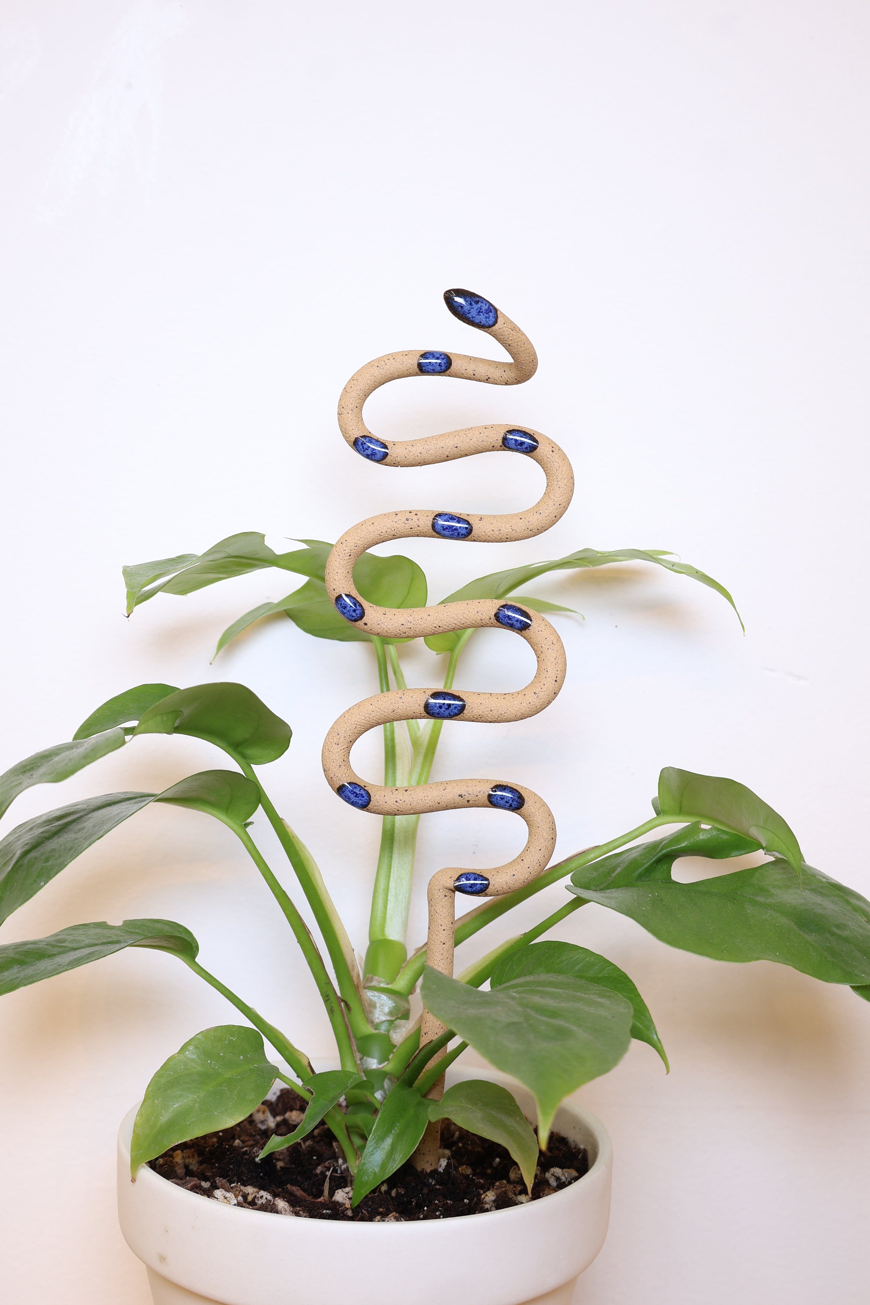 Carter + Rose Selena / Medium Ceramic Plant Snake Stake