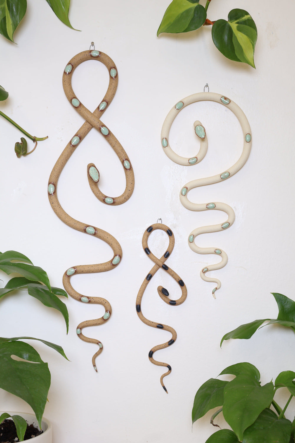 Wall Snake Starter Set