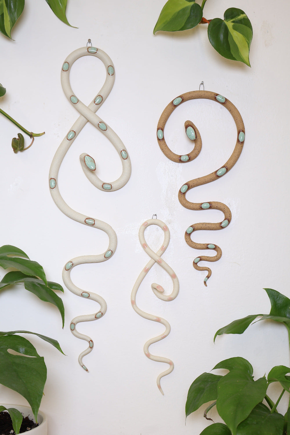 Wall Snake Starter Set