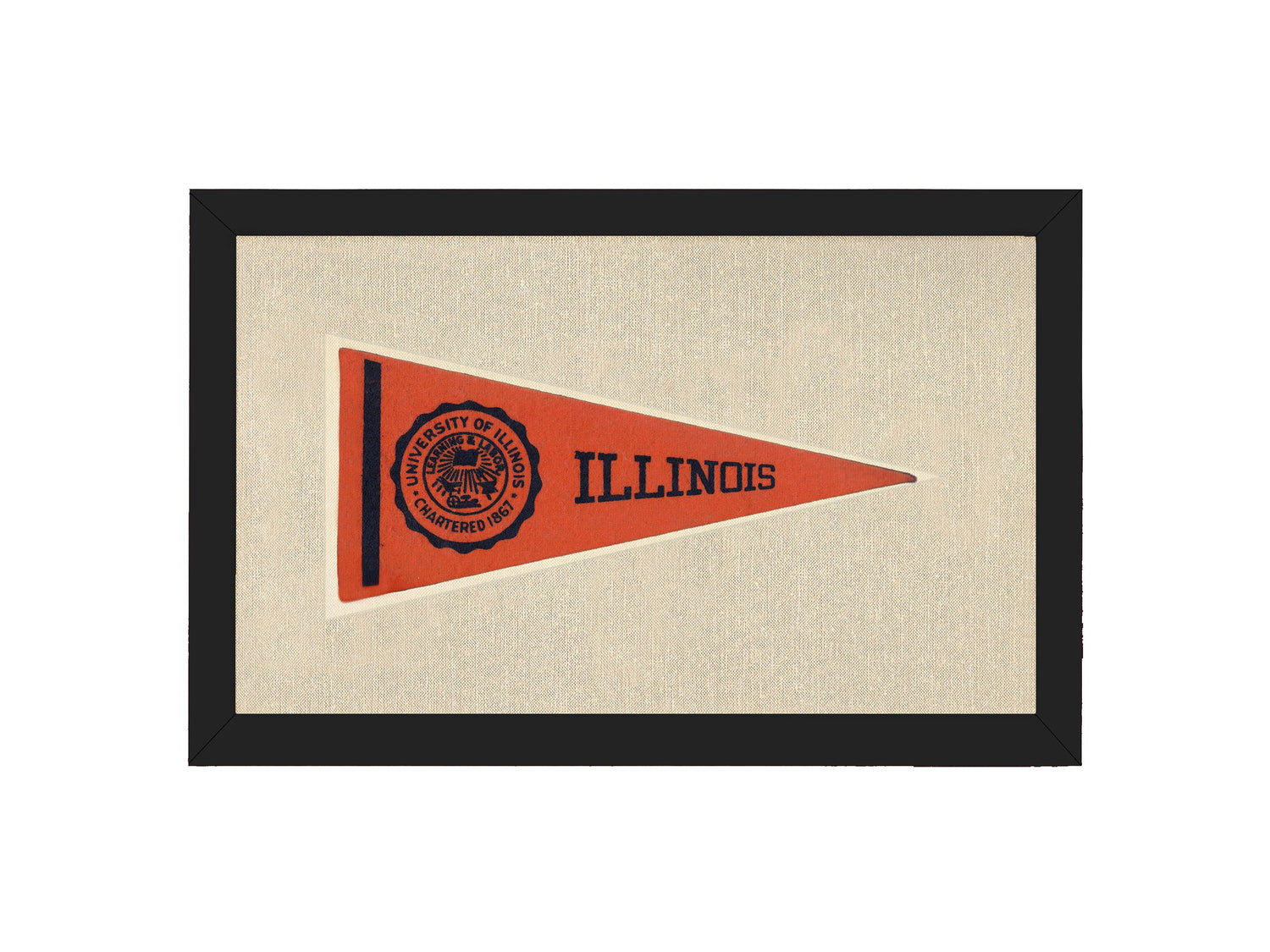 Vintage University of Illinois Pennant