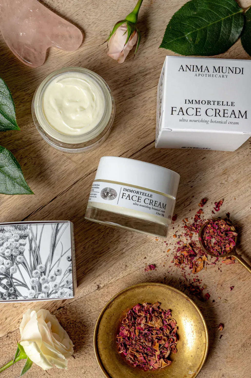 Anima Mundi Face Cream IMMORTELLE Face Cream | Hydrating + Rejuvenative*