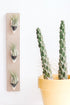 Triple Ceramic Wall Planter - My American Goods