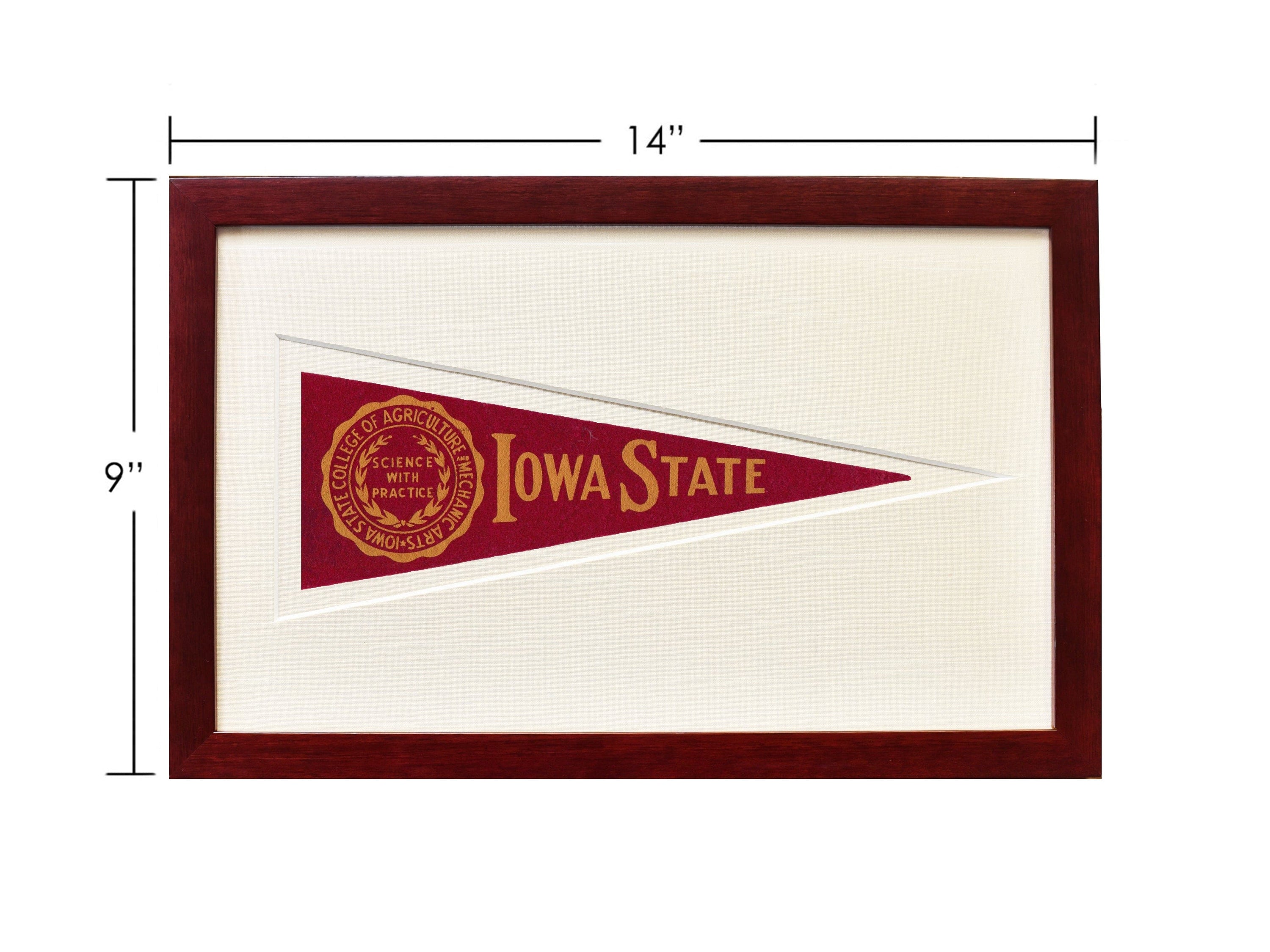 Americana Memories Vintage Iowa State Hormel Pennant