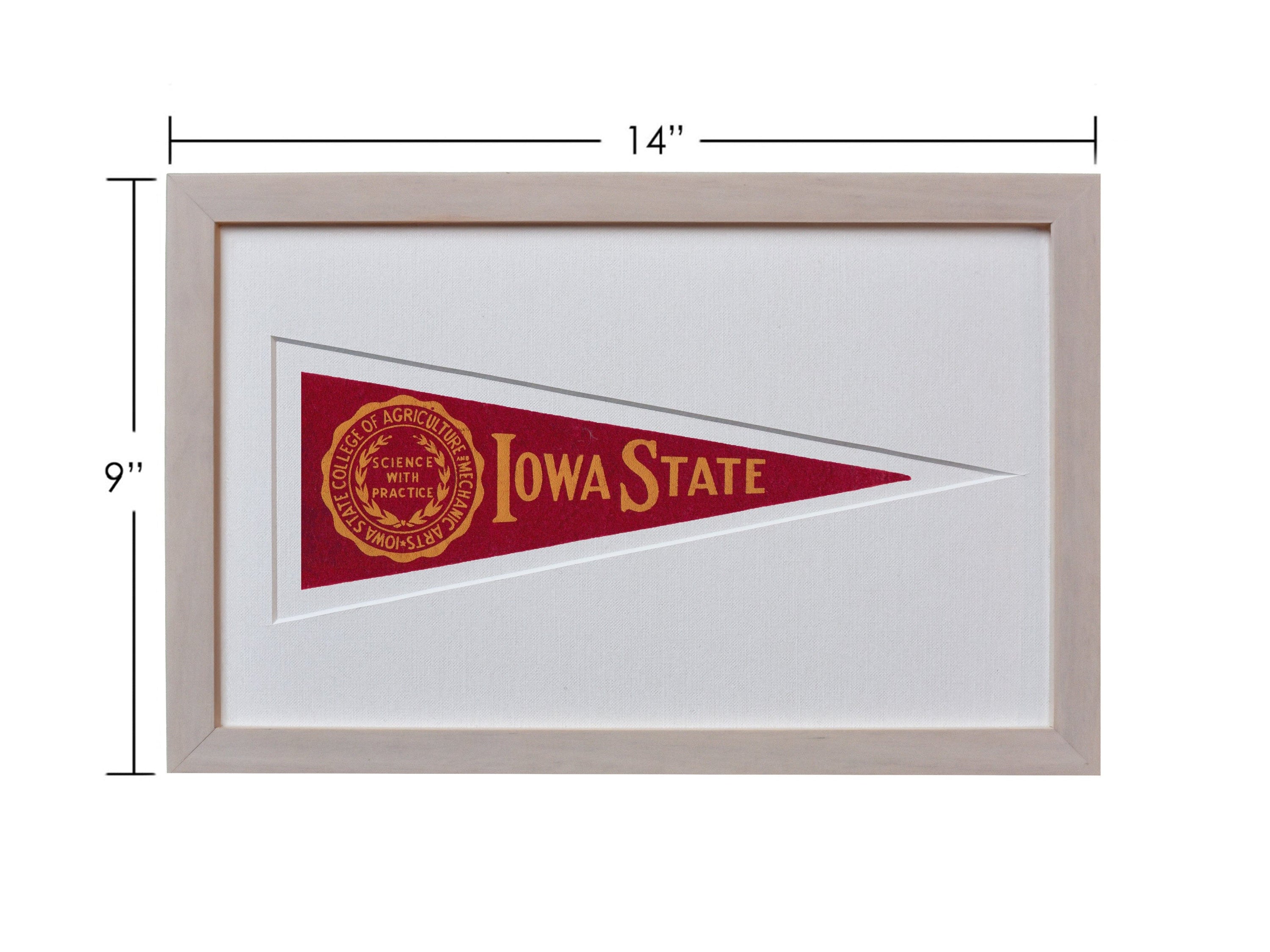 Americana Memories Vintage Iowa State Hormel Pennant