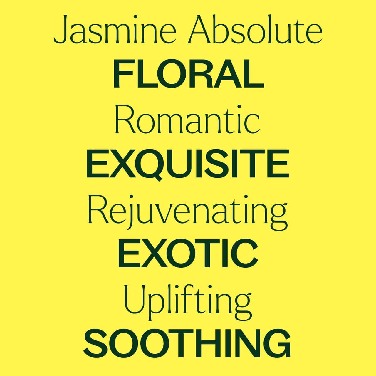 Plant Therapy Essential Oil Jasmine Sambac Absolute