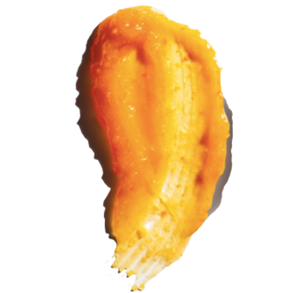 Joy Honey Body Polish