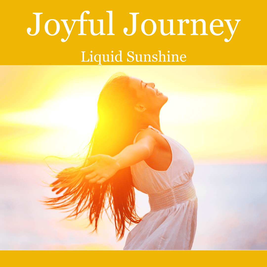 Birth Song Botanicals Co. Tinctures Joyful Journey Herbal Tincture – Botanical Blend with St. John’s Wort, Hawthorn &amp; Lemon Balm (1 oz)