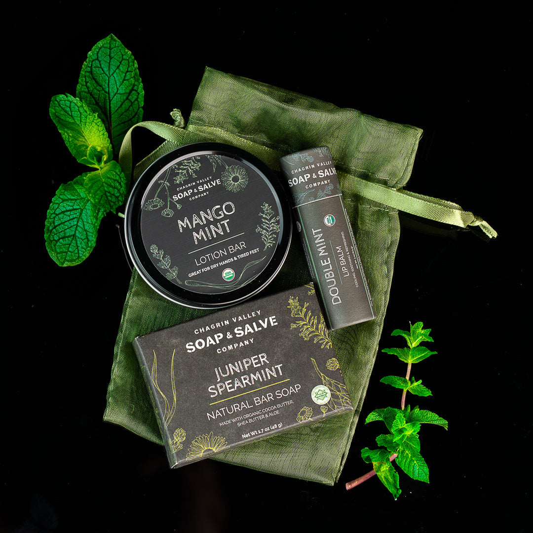 Gift: Soap Sample with Lip Balm &amp; Lotion Bar