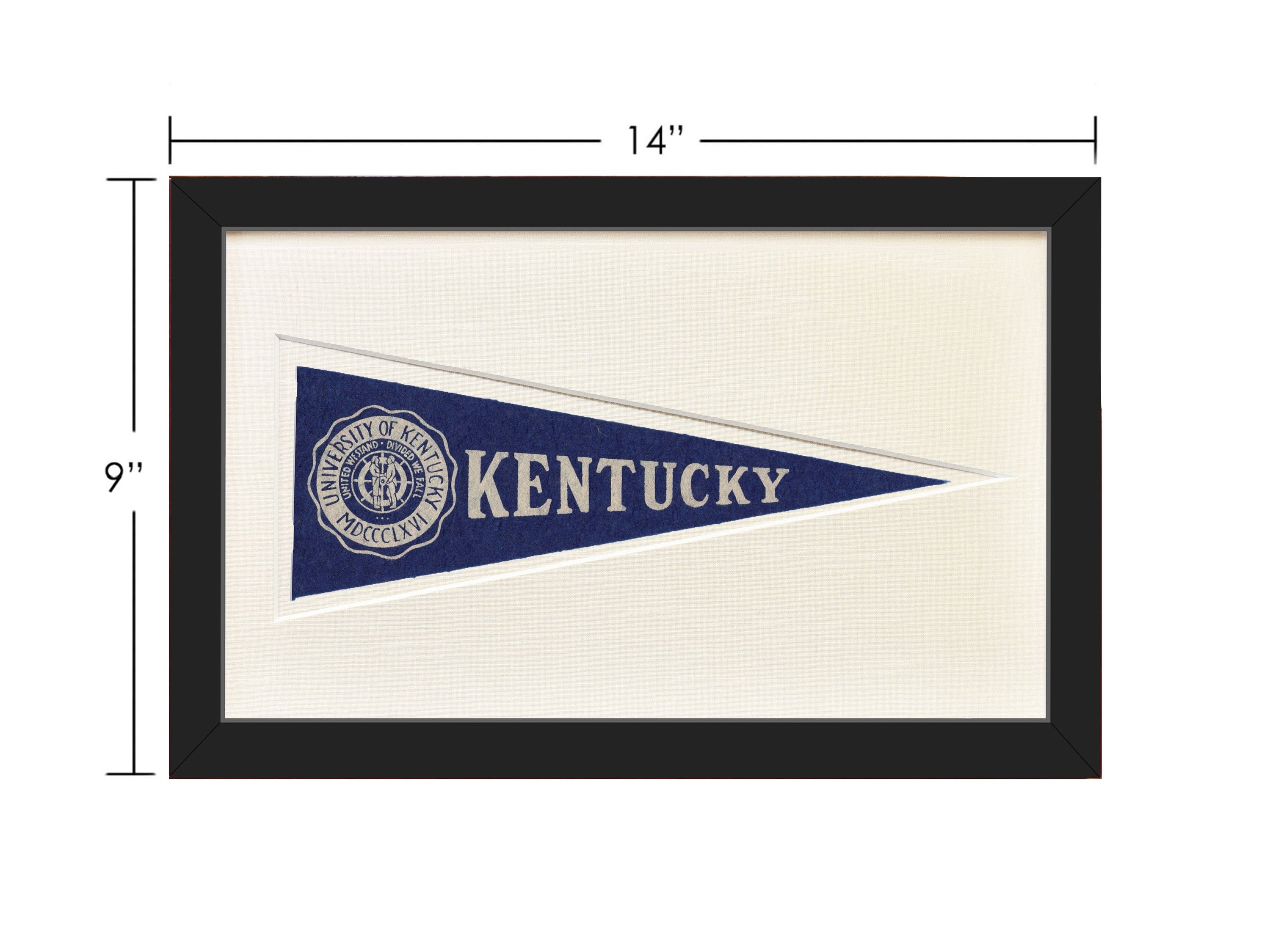 Americana Memories Vintage University of Kentucky Hormel Pennant