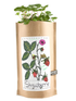 Garden in a Bag - Kids - My American Goods