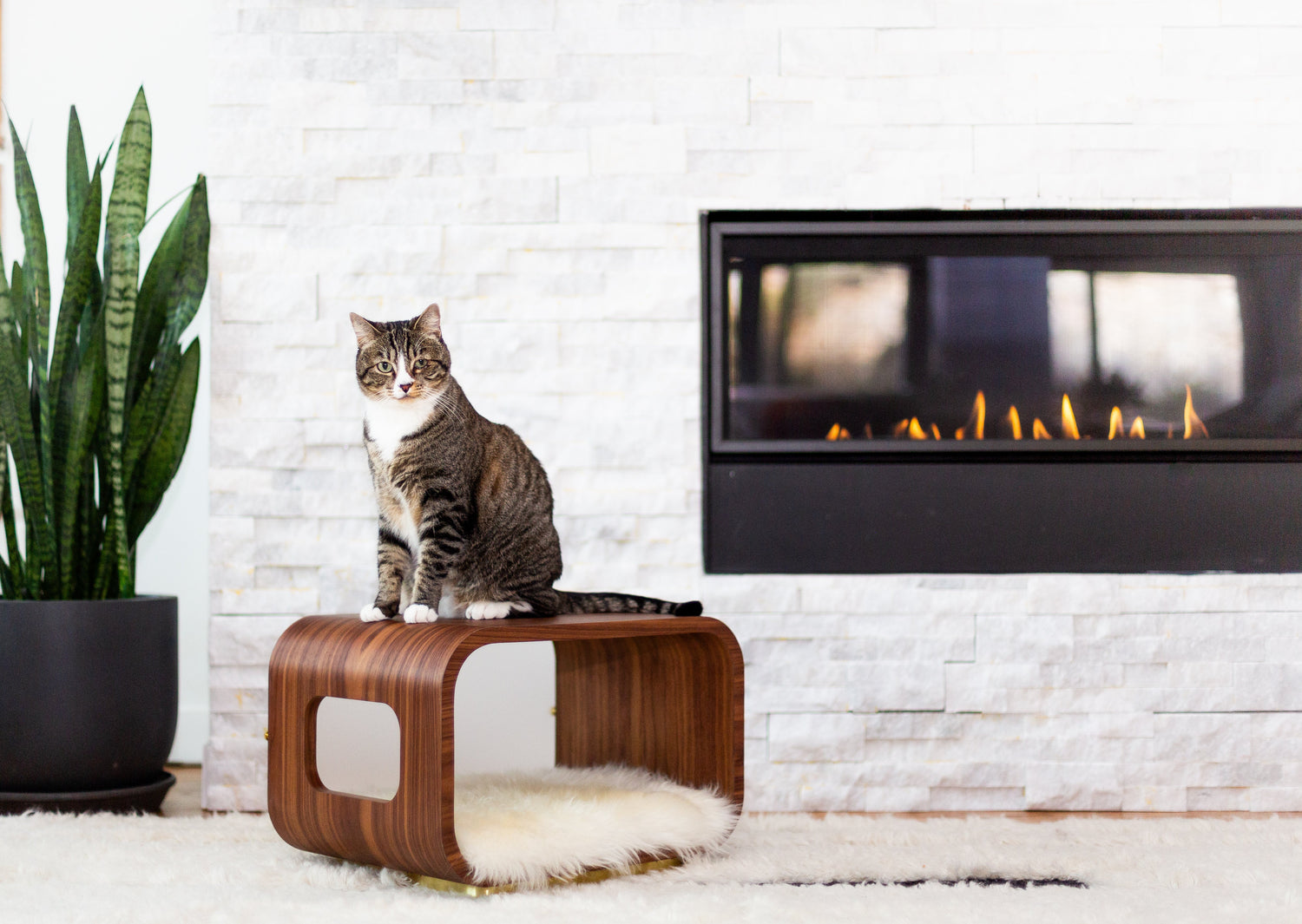 The LUNA Bed in Walnut - My American Goods