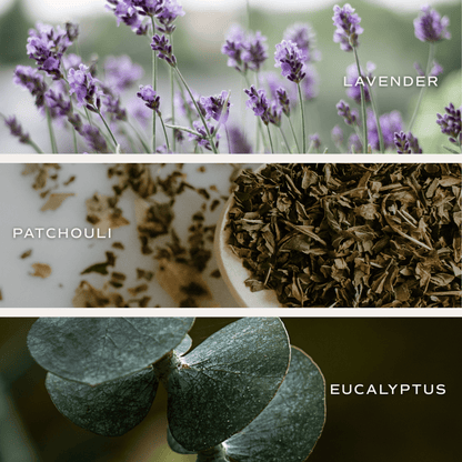 Calm and Comfort Clear Reed Diffuser