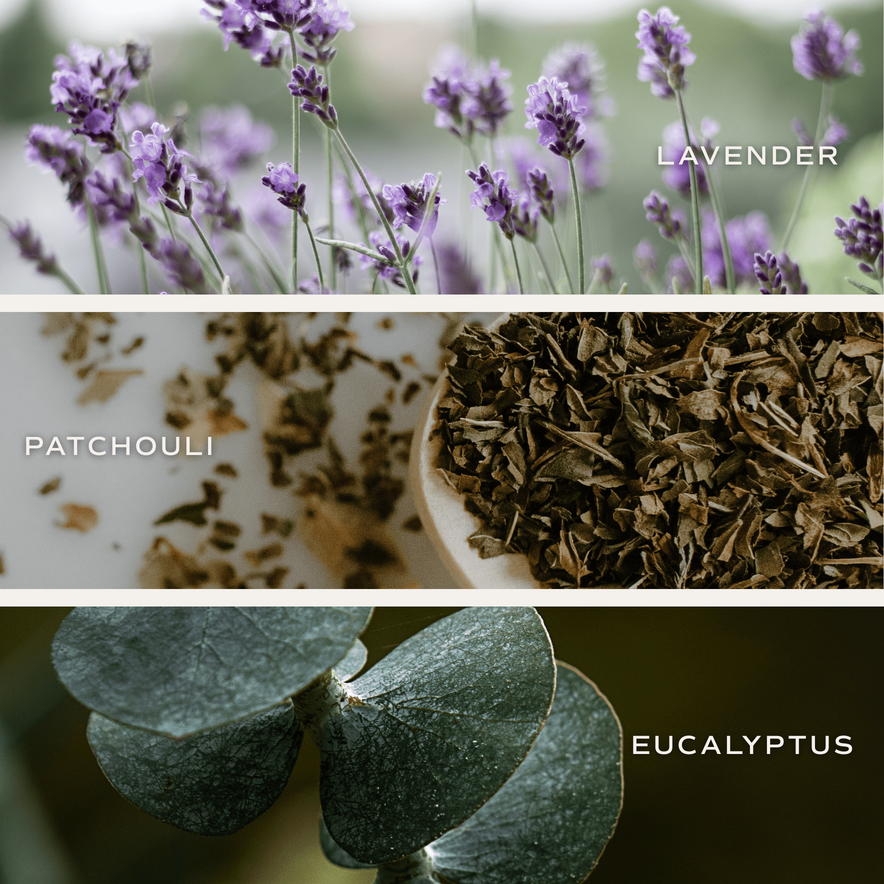 Calm and Comfort Clear Reed Diffuser