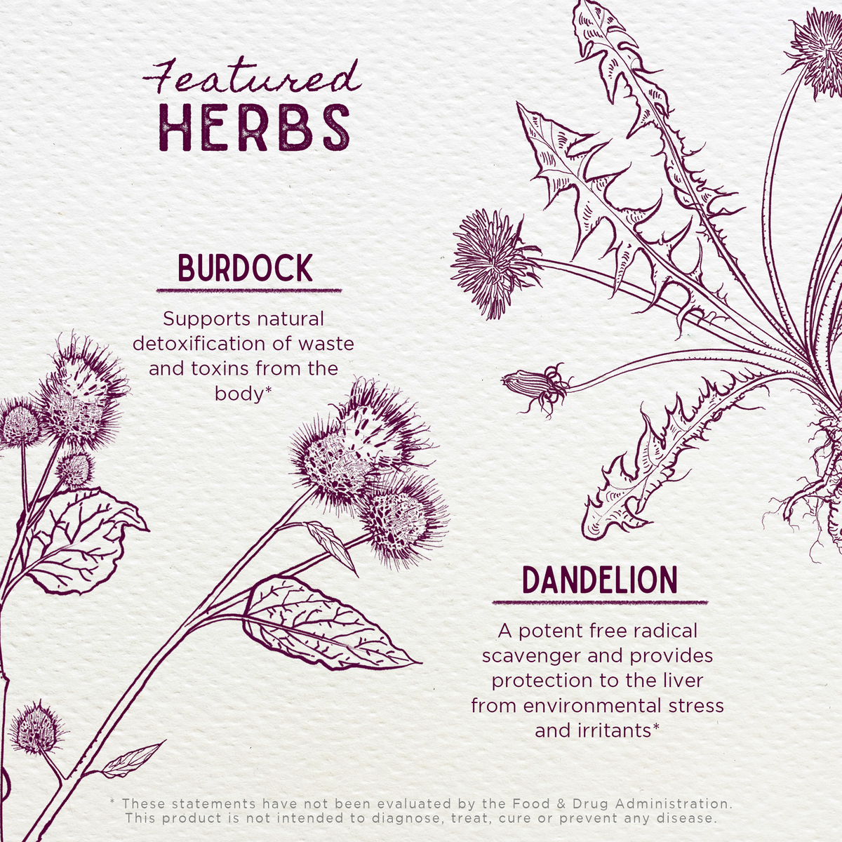 Liver Strength, Daily Support