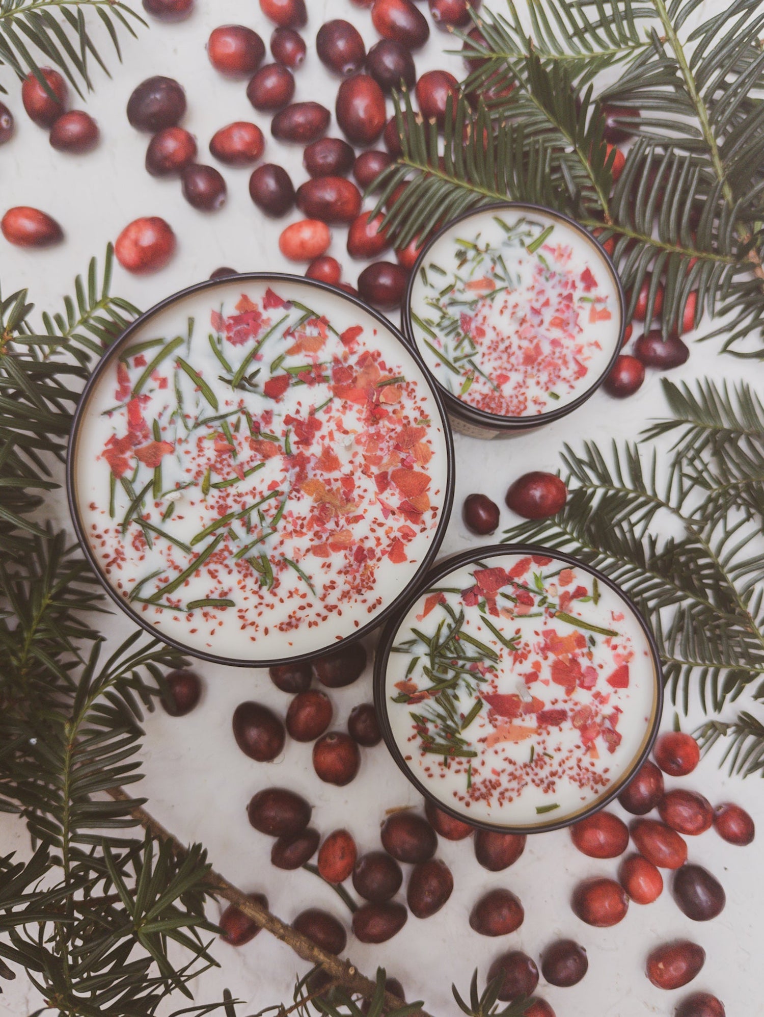 GATHER HERE Cranberry Pine Candle - My American Goods