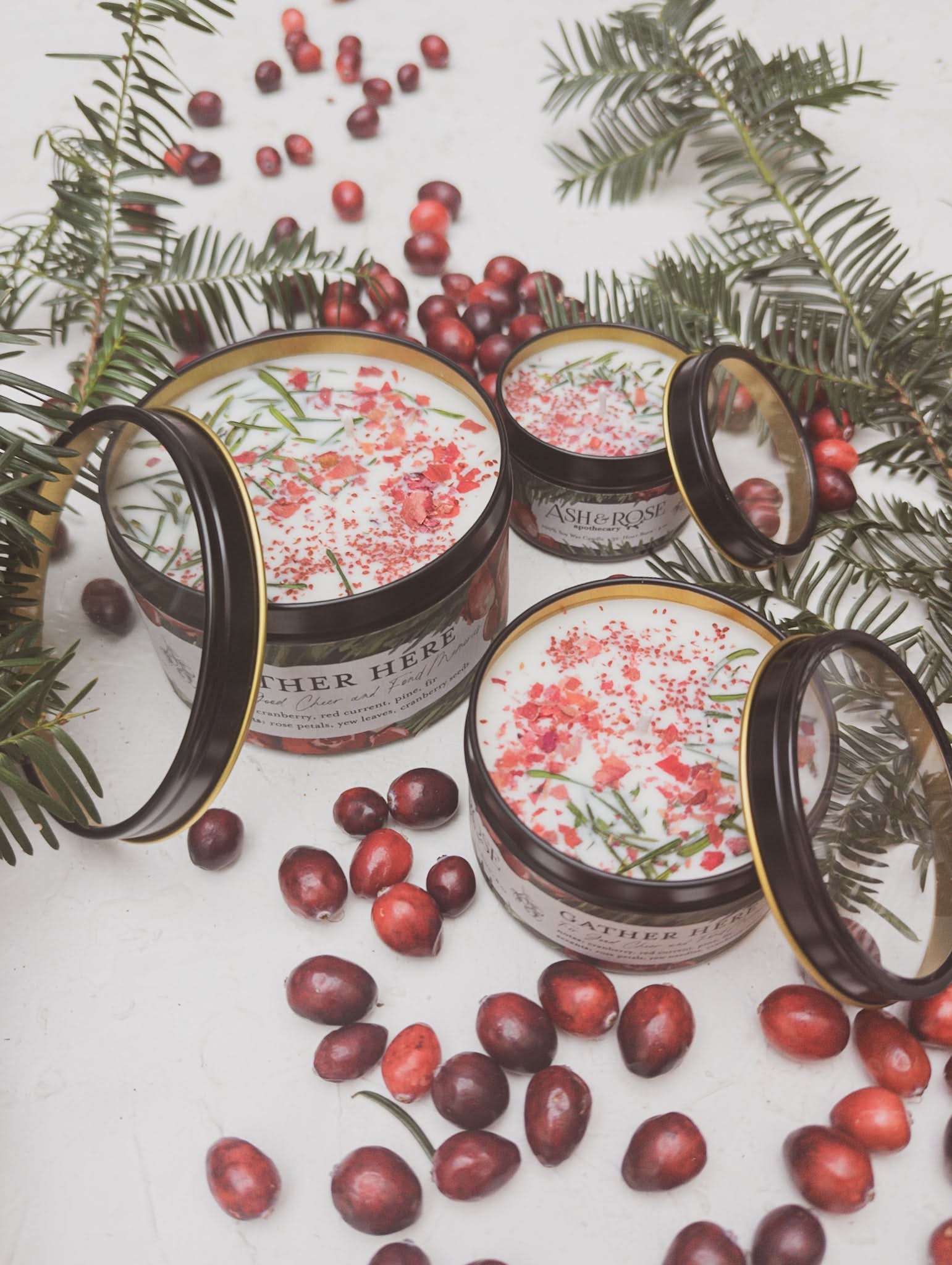 Ash &amp; Rose candle GATHER HERE Cranberry Pine Candle