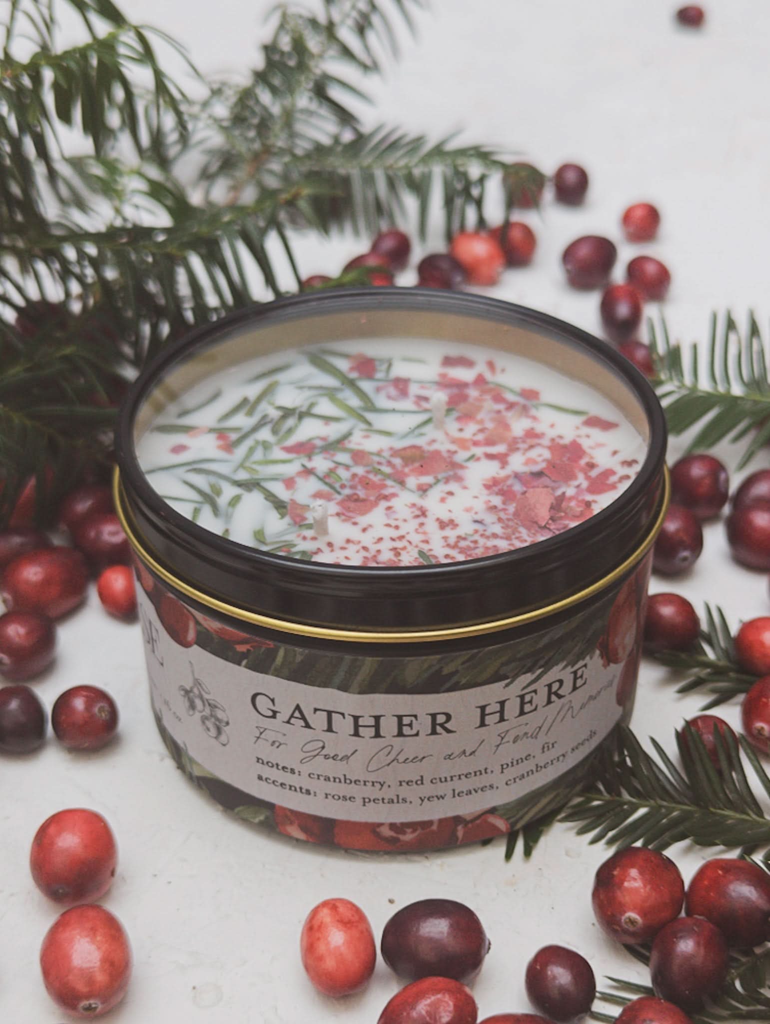 Ash &amp; Rose candle 16 oz GATHER HERE Cranberry Pine Candle