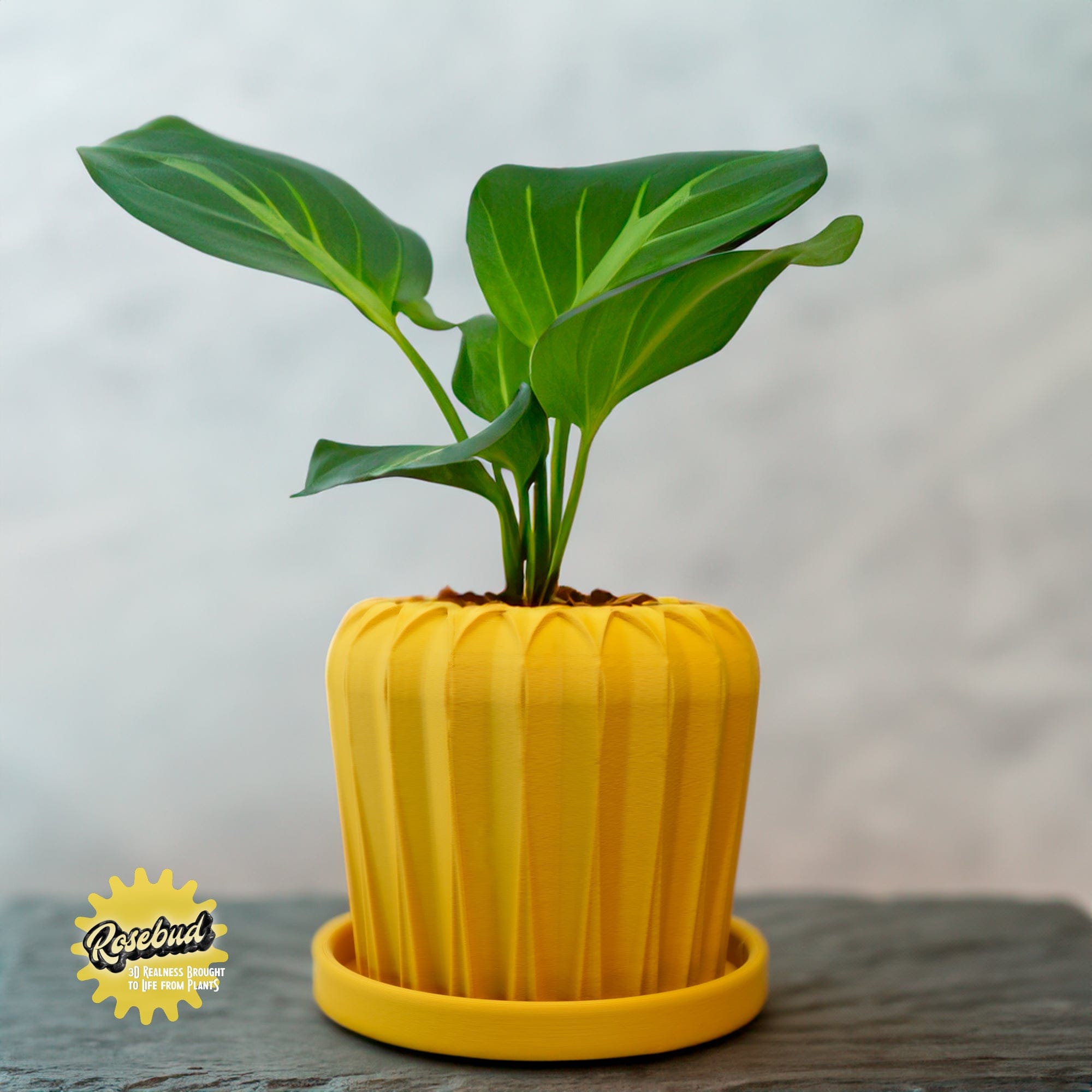 Rosebud HomeGoods Pots &amp; Planters Mustard / 4 Inch - No Tray Lunar Bloom Plant Pot