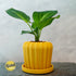 Rosebud HomeGoods Pots & Planters Mustard / 4 Inch - No Tray Lunar Bloom Plant Pot