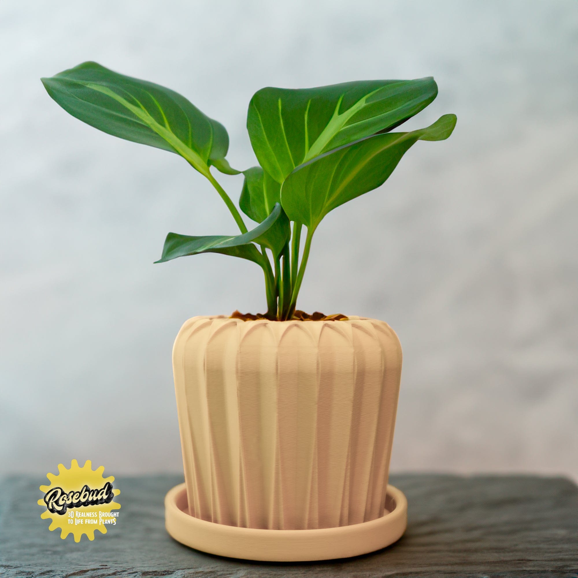 Rosebud HomeGoods Pots &amp; Planters Beige / 4 Inch - No Tray Lunar Bloom Plant Pot