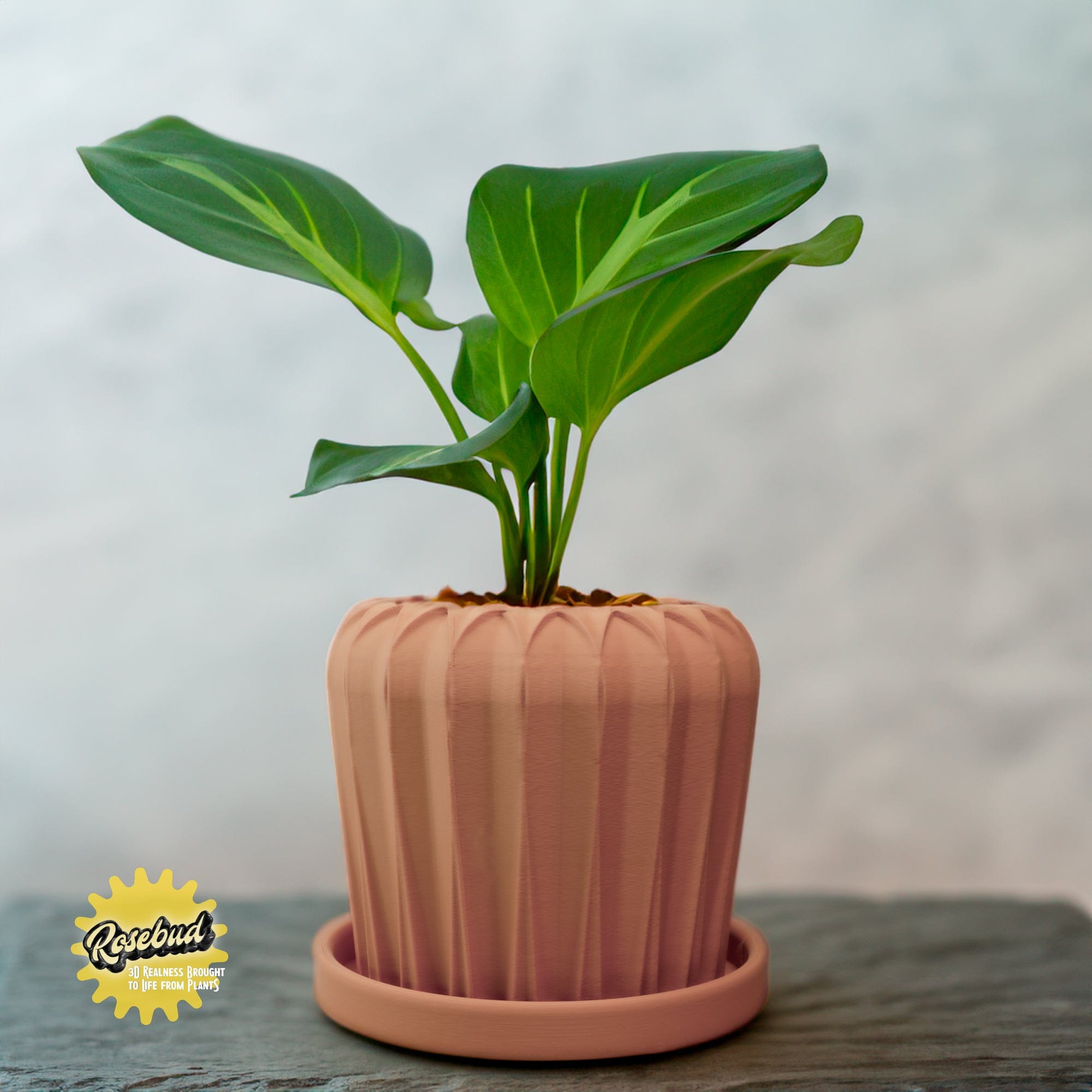 Rosebud HomeGoods Pots &amp; Planters Terracotta / 4 Inch - No Tray Lunar Bloom Plant Pot
