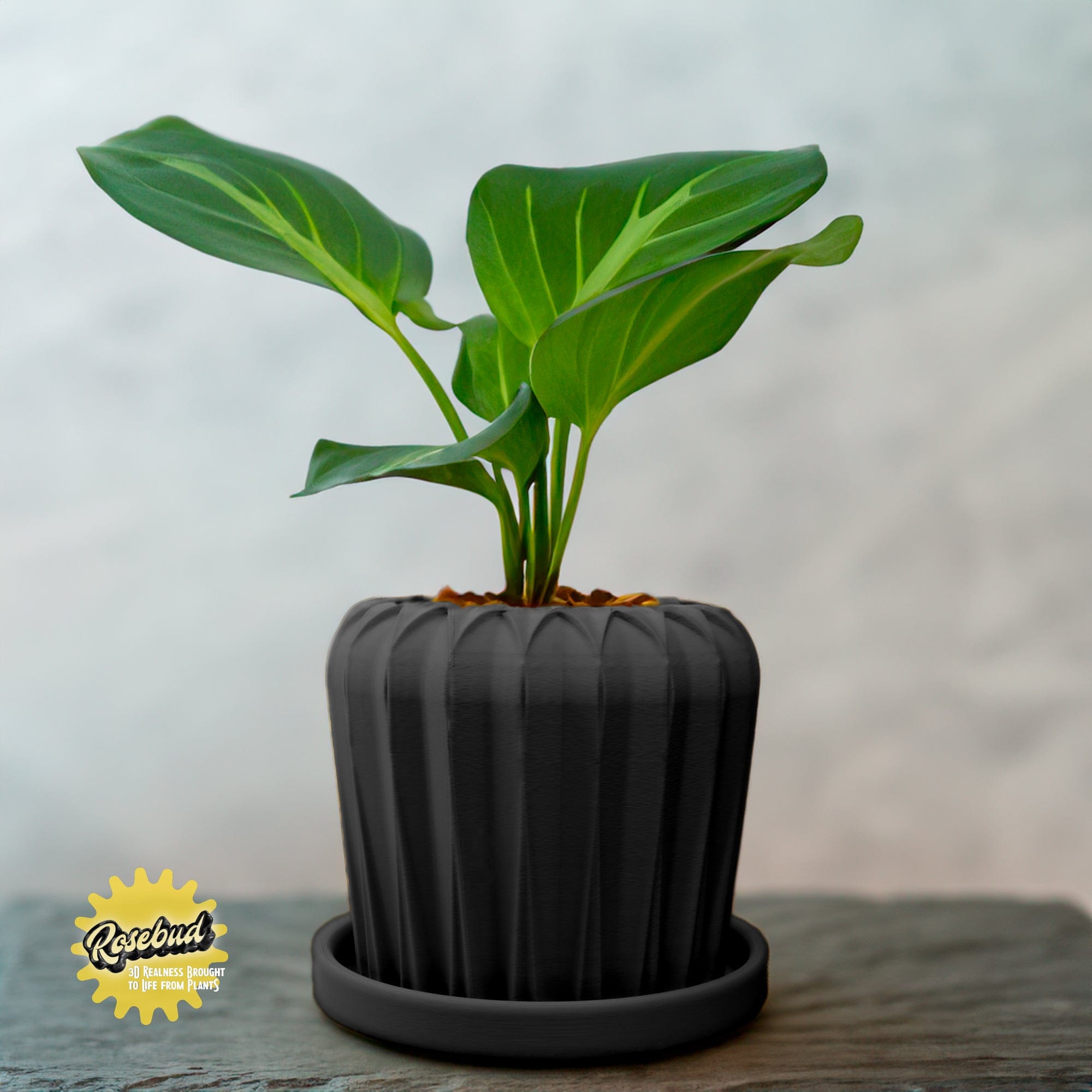 Rosebud HomeGoods Pots &amp; Planters Black / 4 Inch - No Tray Lunar Bloom Plant Pot