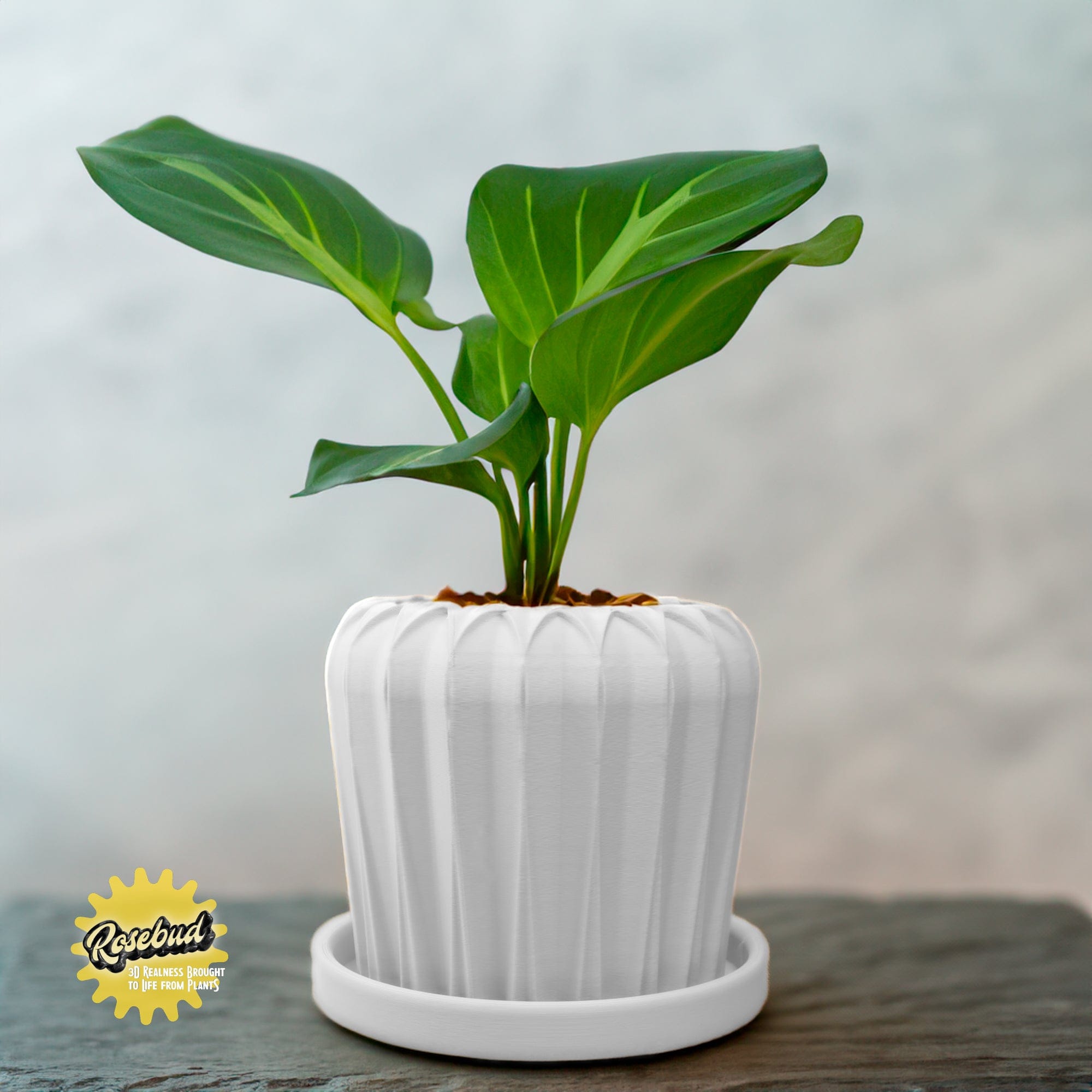 Rosebud HomeGoods Pots &amp; Planters White / 4 Inch - No Tray Lunar Bloom Plant Pot