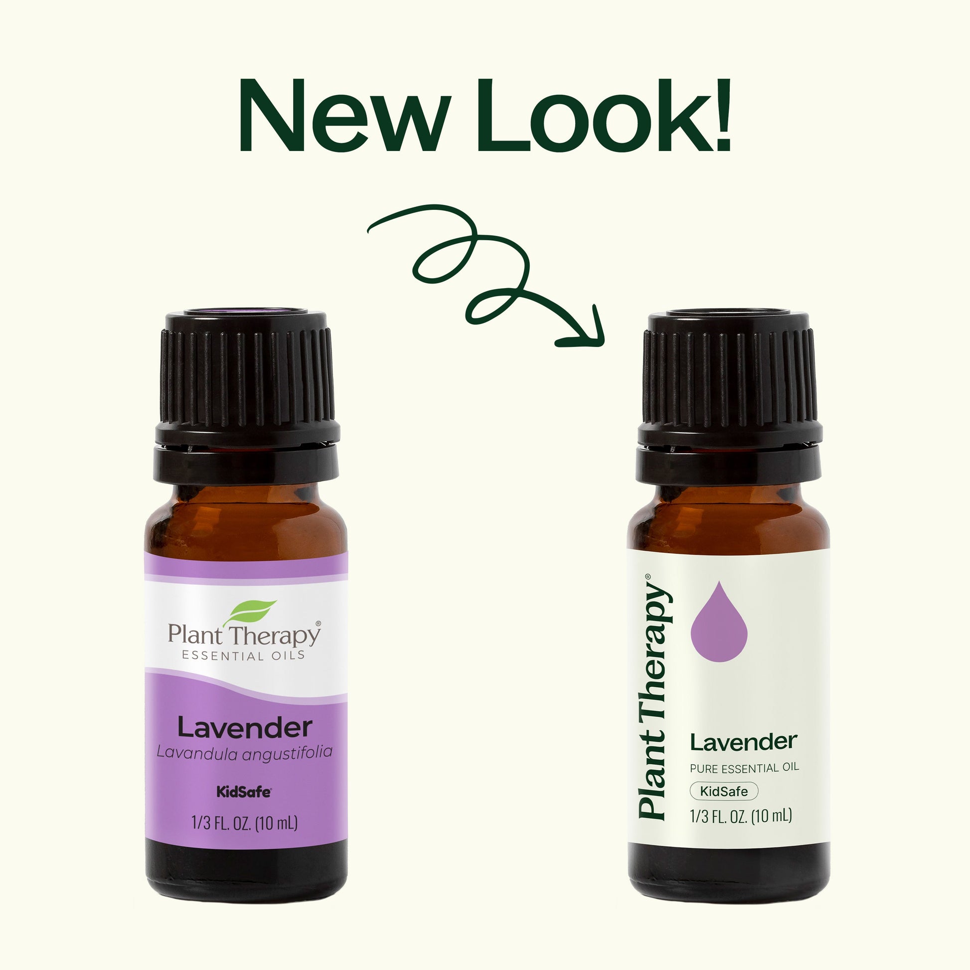 Lavender Essential Oil - My American Goods