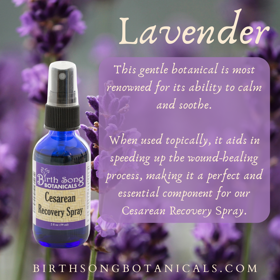 Herbal Cesarean Spray with Lavender, To Support Healthy Skin*  2 oz. - My American Goods