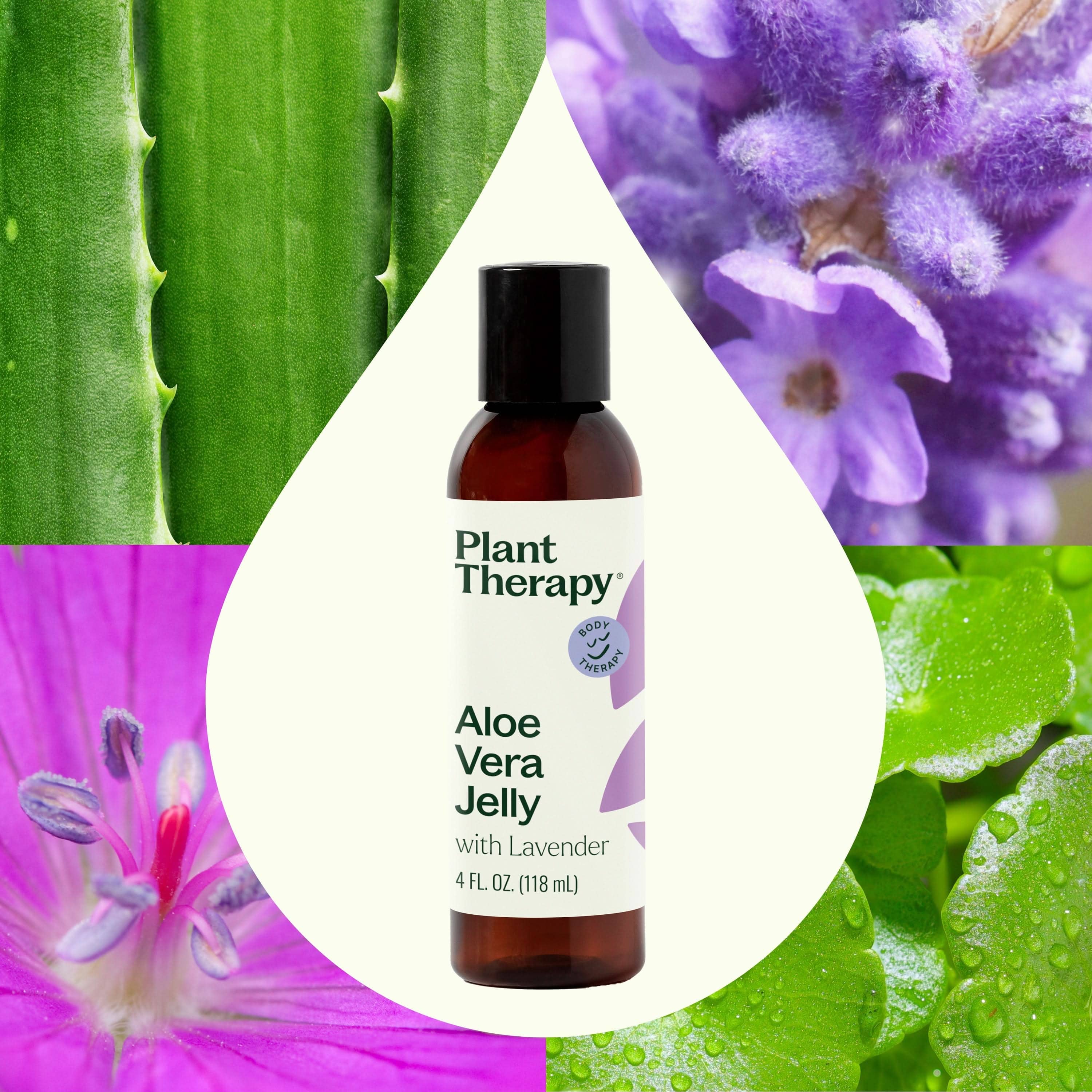Plant Therapy Body Care 4 oz Lavender Aloe Vera Jelly