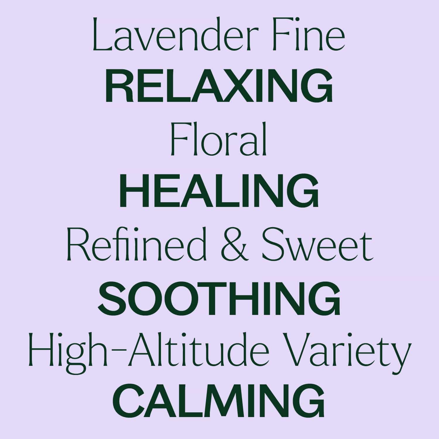 Lavender Fine Essential Oil