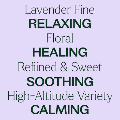 Lavender Fine Essential Oil