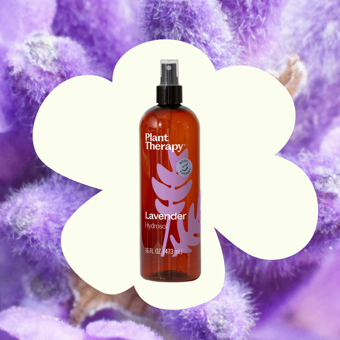 Lavender Hydrosol - My American Goods