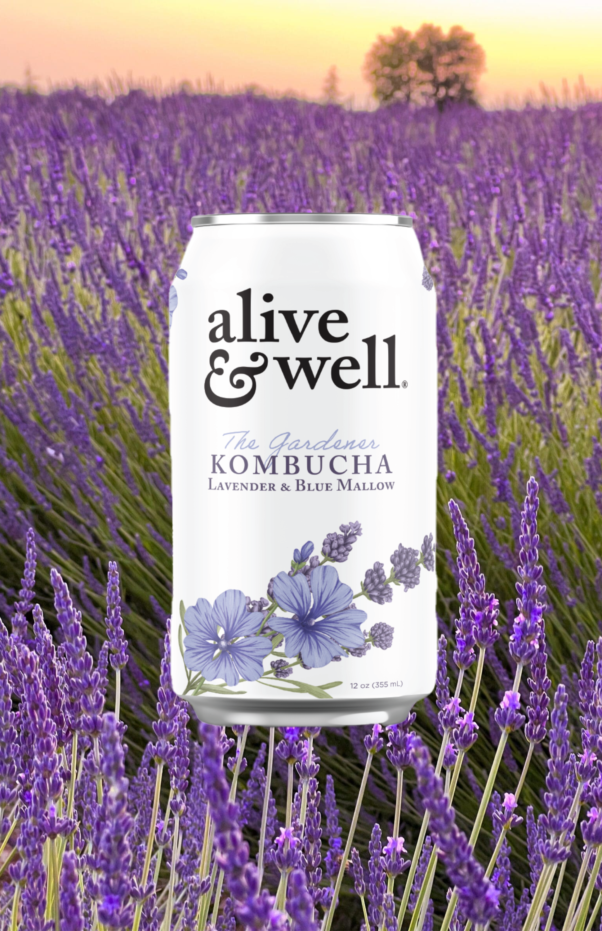 Lavender &amp; Blue Mallow Kombucha