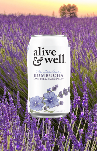 Lavender &amp; Blue Mallow Kombucha