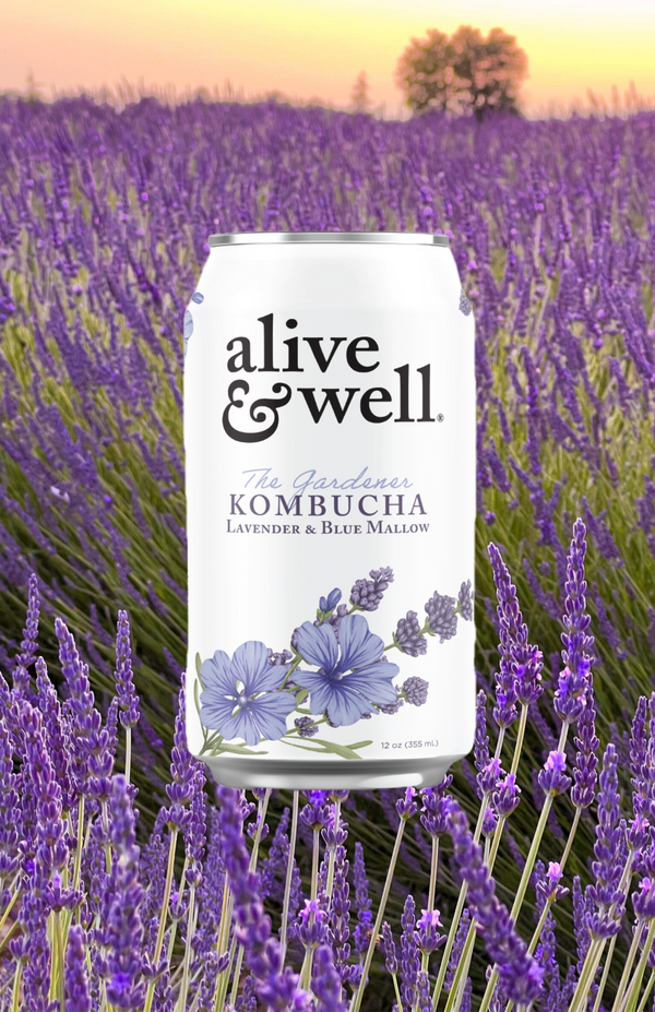 Lavender & Blue Mallow Kombucha