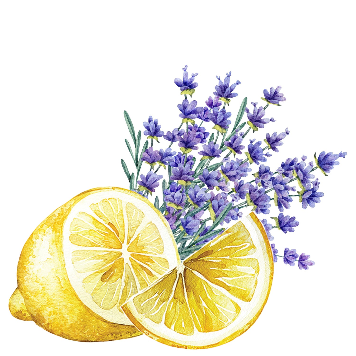 Laundry Detergent | Lavender &amp; Lemon