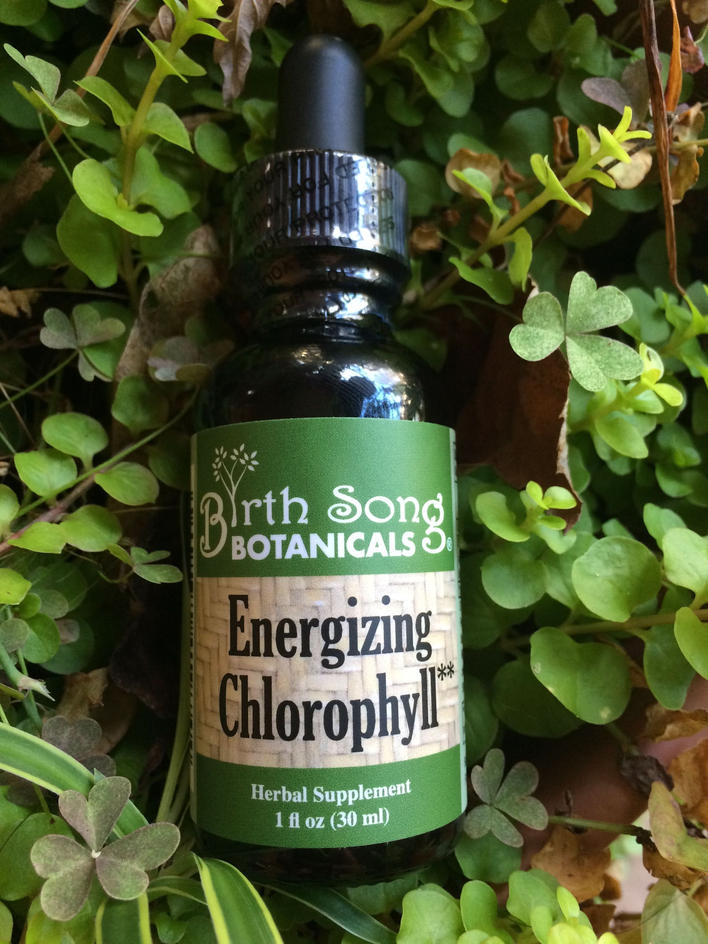 Birth Song Botanicals Co. Tinctures Default Chlorophyll Liquid Drops with Peppermint – 1 oz.