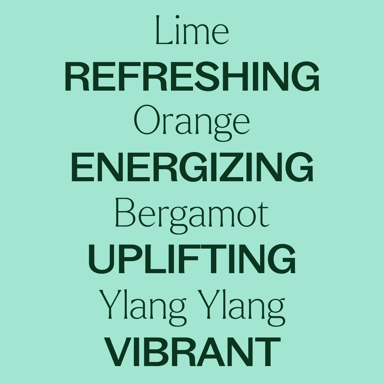 Lime Twist Essential Oil Blend