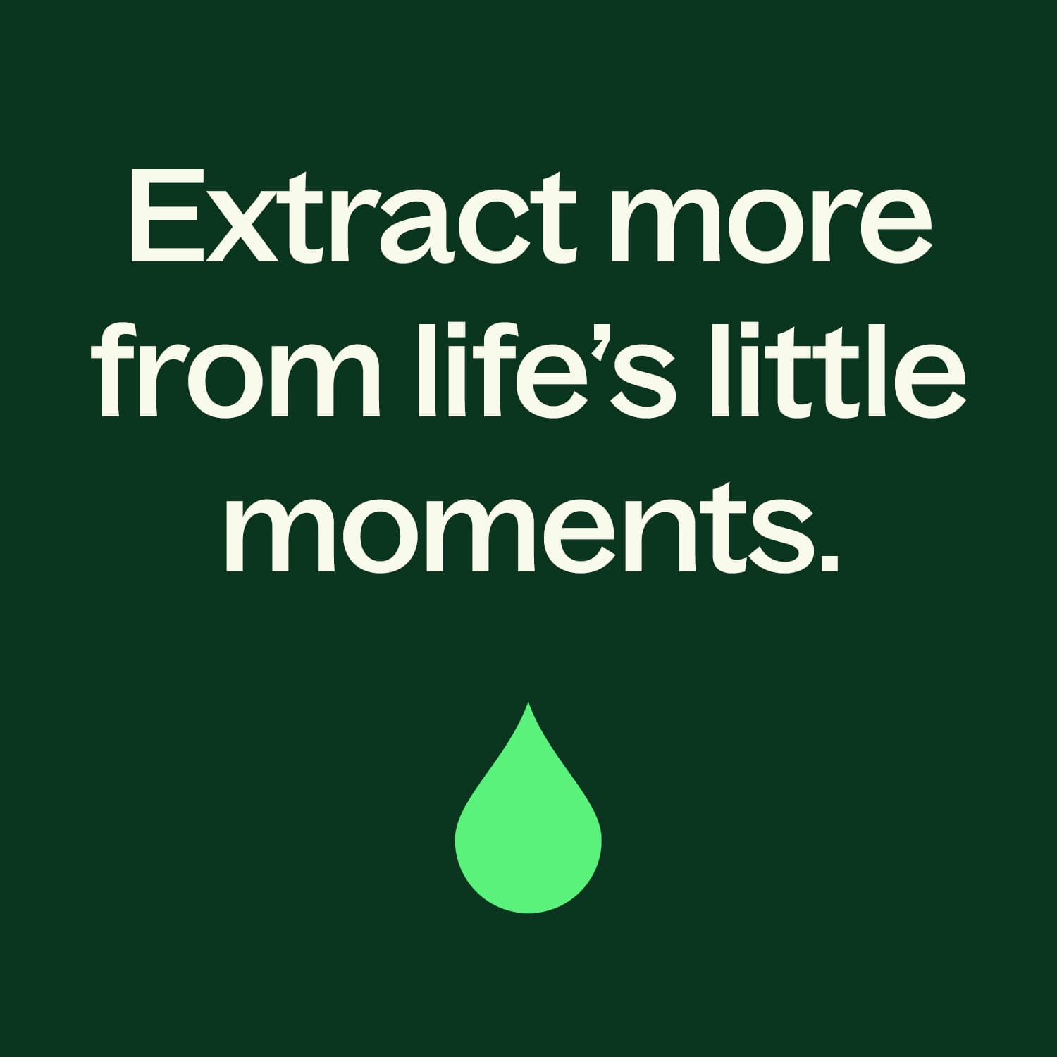 Lime Twist Essential Oil Blend