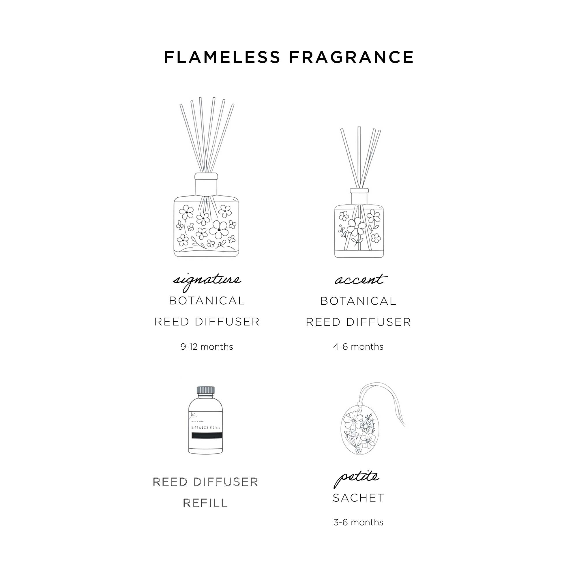 Accent Botanical Reed Diffuser - Harvest Pumpkin