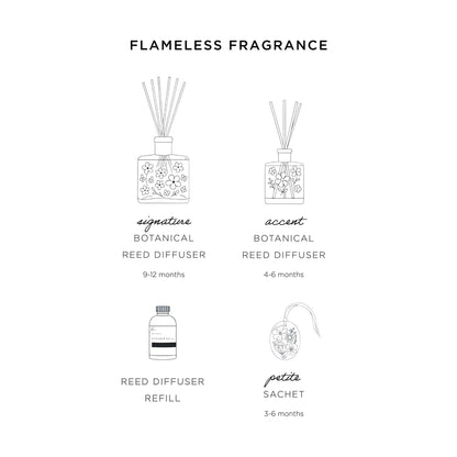 Accent Botanical Reed Diffuser - Harvest Pumpkin