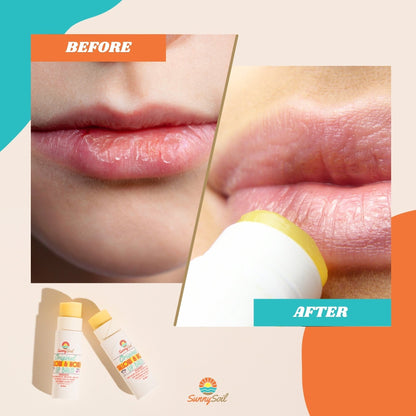 Tallow &amp; Honey Lip Balm (Pack of 3)