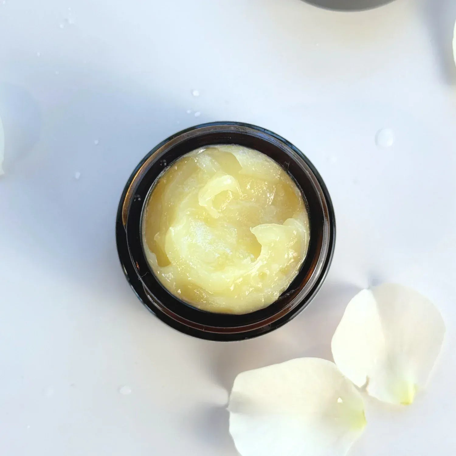 Clara &amp; Fritz Tallow Shop Lip Balms &amp; Treatments Lip Mask Overnight Treatment