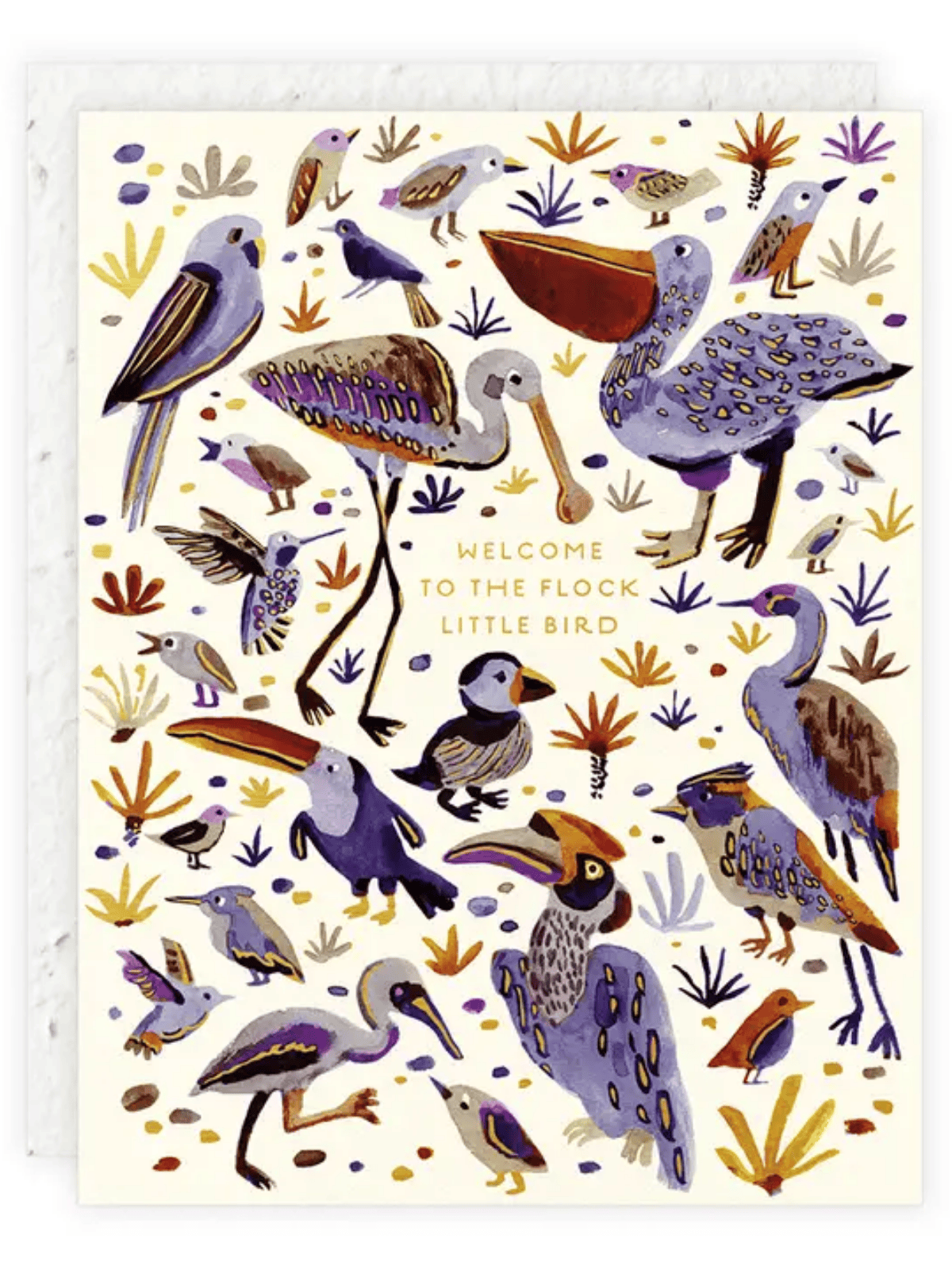 Ash &amp; Rose Greeting &amp; Note Cards Little Bird - Seeded Baby Congratulations Card