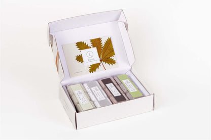 Earthy Shower Steamer Gift Box for Men and Women, Set of 12 Shower Steamers Package - My American Goods