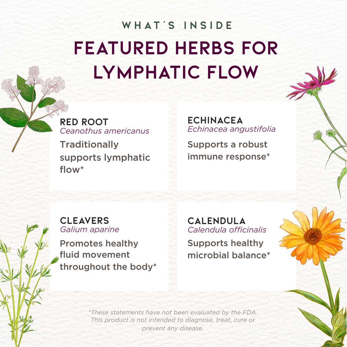 Lymph Mover, Immune Strength