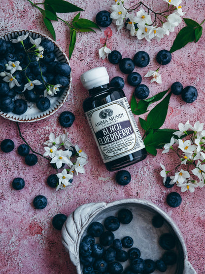 Anima Mundi BLACK ELDERBERRY Elixir | Botanical Mushroom Syrup